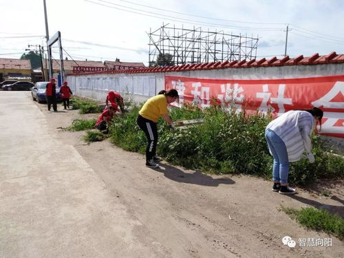 向陽街道紙漿社區 精細治理共創文明城，配套服務筑就衛生家